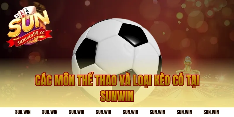 Các Môn Thể Thao Và Loại Kèo Có Tại Sunwin