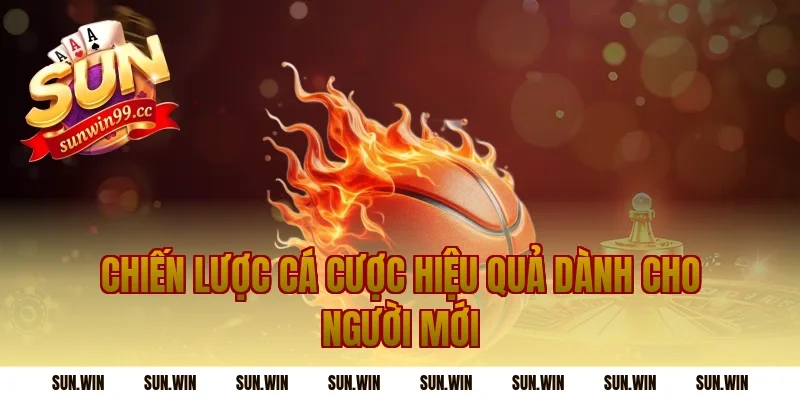Chiến Lược Cá Cược Hiệu Quả Dành Cho Người Mới