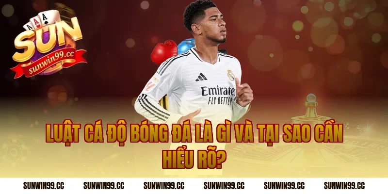 Luật Cá Độ Bóng Đá Là Gì Và Tại Sao Cần Hiểu Rõ?