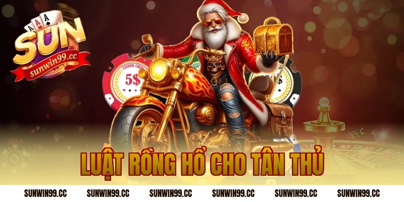 Luật Rồng Hổ cho tân thủ